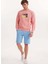 Pembe Baskılı Bisiklet Yaka Pamuklu Regular Fit Erkek Sweatshirt Wmcollage Fun 2