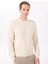 Ekru Erkek Bisiklet Slim Fit Kazak HM703237 3