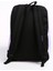 Pembe Unisex 42X32X14 cm Sırt Çantası EK0A5BAGW301 Superbreak One 3
