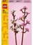 Icons 40725 Cherry Blossoms 1