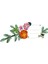 Botanicals Pembe Çiçek Buketi 10342 5
