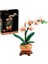 Botanicals Mini Orkide 10343 1