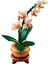 Botanicals Mini Orkide 10343 2