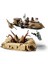 ® Star Wars Çöl Skiff’i ve Sarlacc Çukuru 75396 4
