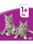 Pouch Somonlu Yetişkin Kedi Konservesi 85 gr x 28 Adet 1