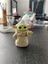 Baby Yoda 1