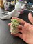 Baby Yoda 2