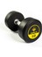 Hasgym 10 kg Dumbbell 1