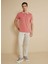 Pembe Erkek Standart T-Shirt BBSS25MTS003 3