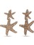 Royal Rose Crystal Sea Star Earrings 1