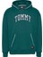 Yeşil Erkek Kapüşon Relaxed Baskılı Sweatshirt DM0DM19760CWG Rlx Varsıty Pıppıng 1
