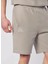 331Y5UW-411 Pronton Short Gri Erkek Şort 3