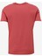 Bisiklet Yaka Gül Kurusu Erkek T-Shirt W241199620 Bisiklet Yaka T-Shirt 6