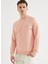 Pembe Bisiklet Yaka Pamuklu Regular Fit Erkek Sweatshirt Core O Neck 1