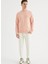 Pembe Bisiklet Yaka Pamuklu Regular Fit Erkek Sweatshirt Core O Neck 2
