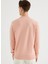 Pembe Bisiklet Yaka Pamuklu Regular Fit Erkek Sweatshirt Core O Neck 4