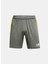 Yeşil Erkek Normal Düz Şort 1379507-709 Ua M's Ch. Knit Short 5