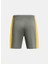 Yeşil Erkek Normal Düz Şort 1379507-709 Ua M's Ch. Knit Short 6