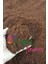 Cocopeat 10 LİTRE (KATKISIZ VE ELENMİŞ) Hindistan Cevizi Kabuğu Torfu 2