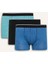 Yeni Sezon Regular Fit Baskılı 3'lü Boxer 1