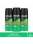 Erkek Sprey Deodorant Jungle Fresh 48 Saat Etkileyici Koku 150 ml X3 Adet 1