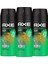Erkek Sprey Deodorant Jungle Fresh 48 Saat Etkileyici Koku 150 ml X3 Adet 2
