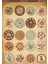 1 Adet Vintage Temalı Sticker (12X17 Cm) Bullet Journal,scrapbook, Ajanda ve Planlayıcı Için 1
