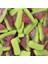 American Foods Candy Break Sour Watermelon Karpuz Aromalı Ekşi Yumuşak Şeker 113 gr X12ADET 5