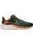 Pegasus 39 A.ı.r. Hola Lou Road Running Erkek Spor Ayakkabı DO9500-300 1