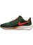 Pegasus 39 A.ı.r. Hola Lou Road Running Erkek Spor Ayakkabı DO9500-300 2