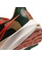 Pegasus 39 A.ı.r. Hola Lou Road Running Erkek Spor Ayakkabı DO9500-300 6