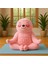 Yoga Yapan Sevimli Tembel Hayvan-Sloth-Peluş Oyuncak- 40 cm 2