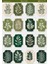 1 Adet Yeşil Vintage Temalı Sticker (12X17 Cm) Bullet Journal,scrapbook, Ajanda ve Planlayıcı Için 1