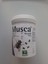 Jetta 2lt Ilaçlama Pompası - Musca Sp 100GR( Karasinek - Arı Haşere Öldürücü Suda Çözülebilir Toz ) 2