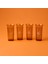 Nazenin 4'lü Meşrubat Bardağı Seti - Amber - 290 ml 2