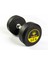 Hasgym 12,5 kg Dumbbell 1
