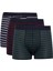 Yeni Sezon Regular Fit Çizgili 3'lü Boxer 1