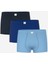 Yeni Sezon Basic Erkek Cocuk Boxer 3'lu - S50213Z4 1