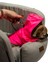 Kedi Köpek Taşıma Çantası – Taş Rengi Tasma Kancalı Oto Koltuğu - Taşıma Çantası 4