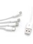4 In 1 USB Tip-C Şarj Kablosu Çoklayıcı 1 Metre 2