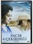 Incir Çekirdeği DVD (Orijinal Dönem Baskı Dvd) 1