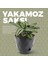 KRS-451 Yakamoz Tabaklı Plastik Saksı Takımı 0.65 Litre No 1 4