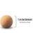 Amityunion Faszien Ball – Doğal Foamroller Ball – Masaj ve Terapi Için Ball Selbstmage – Sportball – Egzersiz Topu – Faszial Ball Ing ve Masaj Için (Yurt Dışından) 2