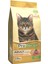Tavuklu Yetişkin Kedi Maması 15 kg 2