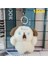 Köpek Kolye Sevimli Şişman Deniz Aslanı Peluş Oyuncaklar 3D Yenilik Atmak Yastıklar Dev Yumuşak Mühür Dolması Peluş Uyku Yastıkları Ev Bebek Hediye Kız Arkadaşlar (Yurt Dışından) 1