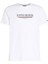 Erkek Brand Love Hilfiger Tee – Beyaz 1