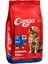 Yetişkin Köpek Maması Biftekli 15 Kg 2