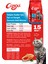 Yetişkin Kedi Maması Somonlu 15 kg 3