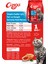 Yetişkin Kedi Maması Somonlu 1 Kg 3