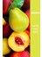 Ice Tea Armut Şeftali Soğuk Çay Şeker İlavesiz 250 ml x 12 3